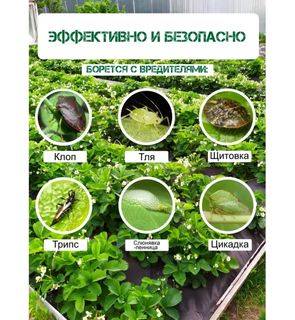Зеленое садовое мыло для растений, концентрат