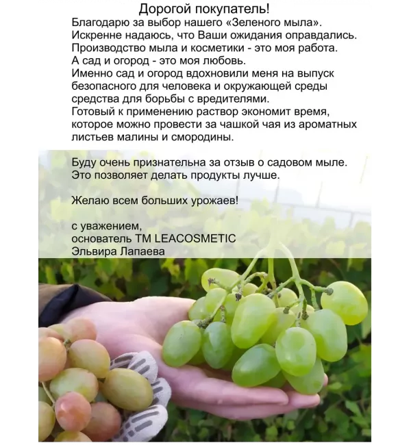 Зеленое садовое мыло для растений, концентрат