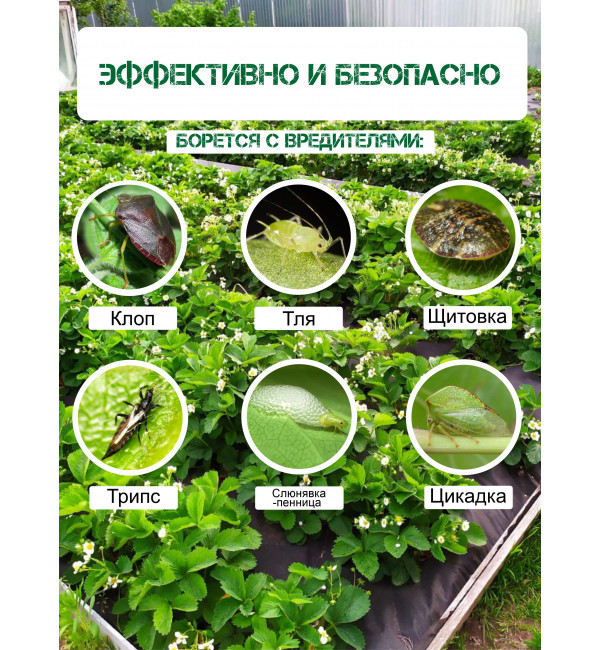 Зеленое садовое мыло для растений, 5 л.
