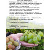 Зеленое садовое мыло для растений, 5 л.