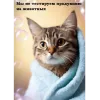 Бальзам для волос профессиональный 5 л